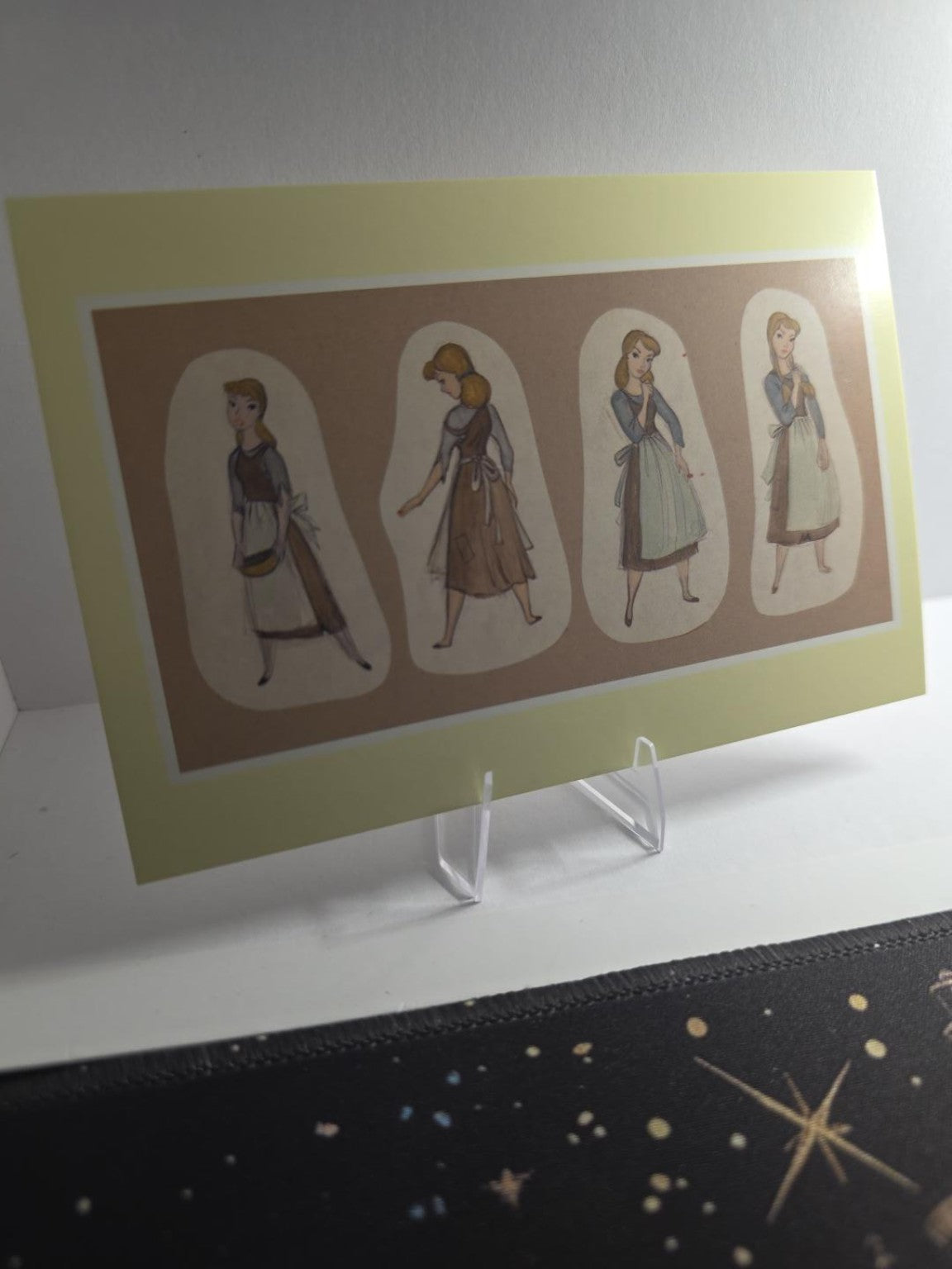 Cinderella Peasant Costume Studies
