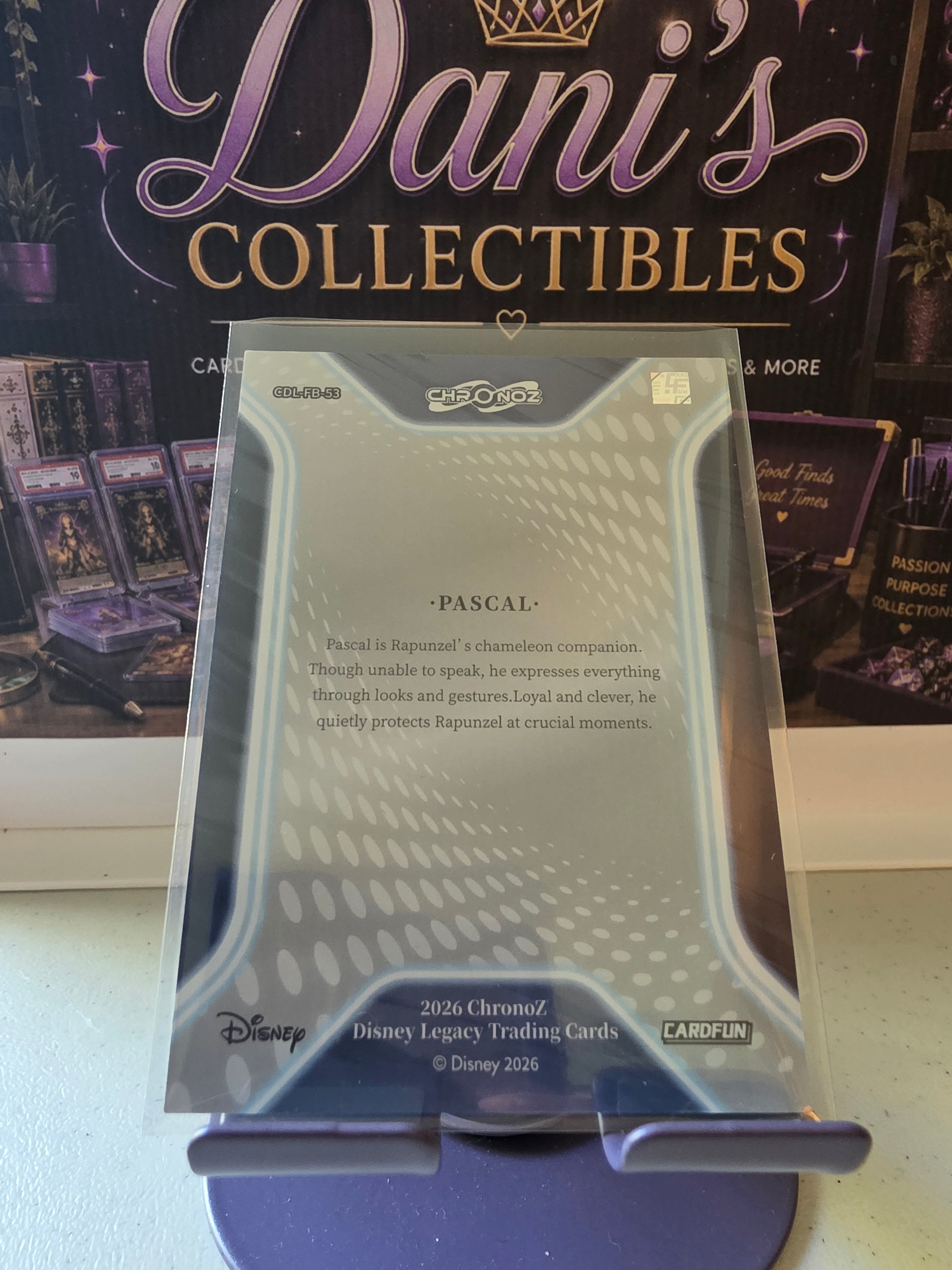 Pascal – Tangled Silver Parallel - CDL-FB-53