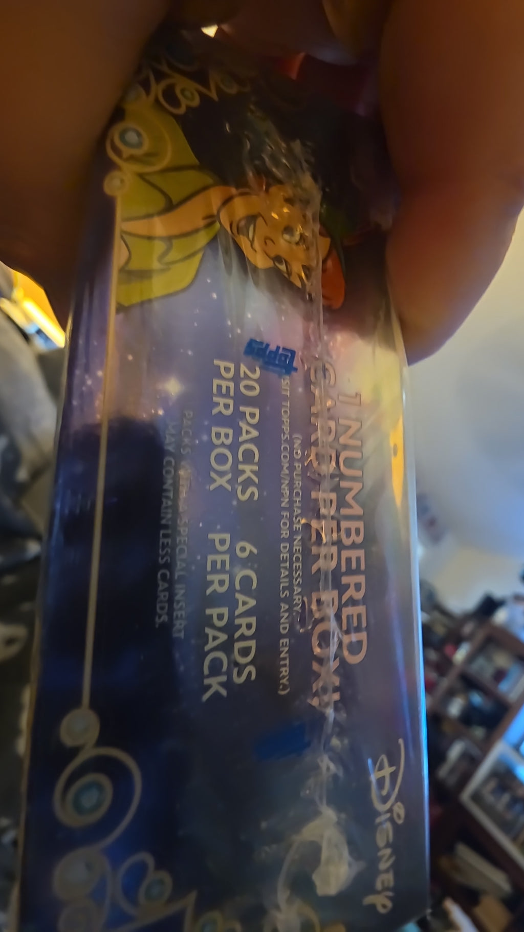 2025 Disney Wonder Hobby Pack