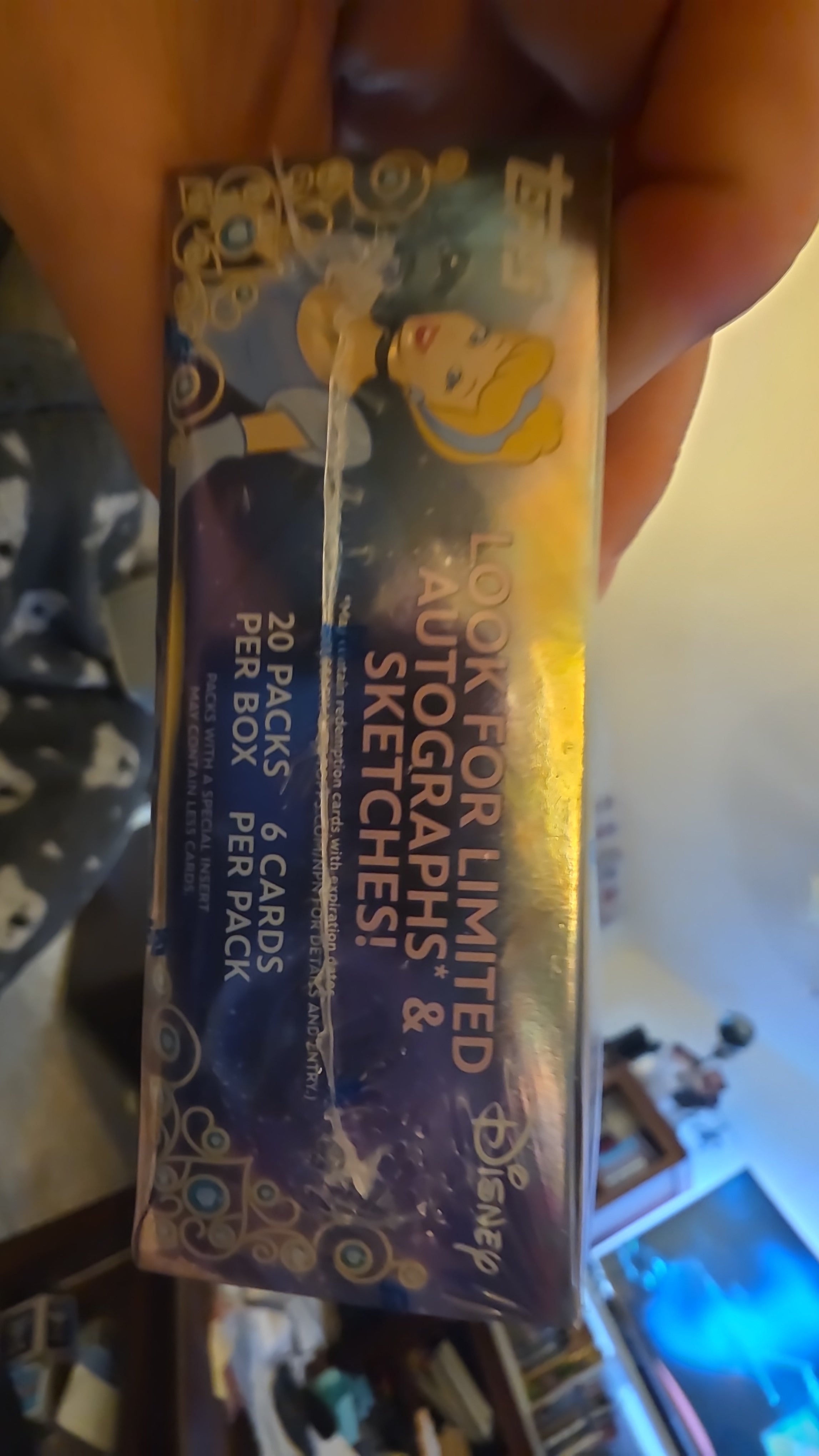 2025 Disney Wonder Hobby Pack
